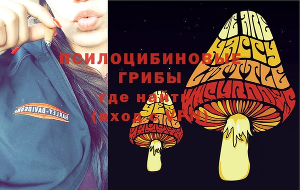 твердый Лабытнанги