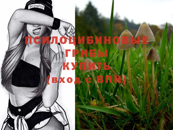 твердый Лабытнанги