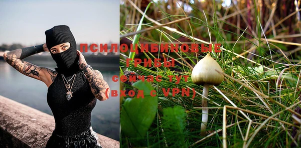 круглые Ладушкин